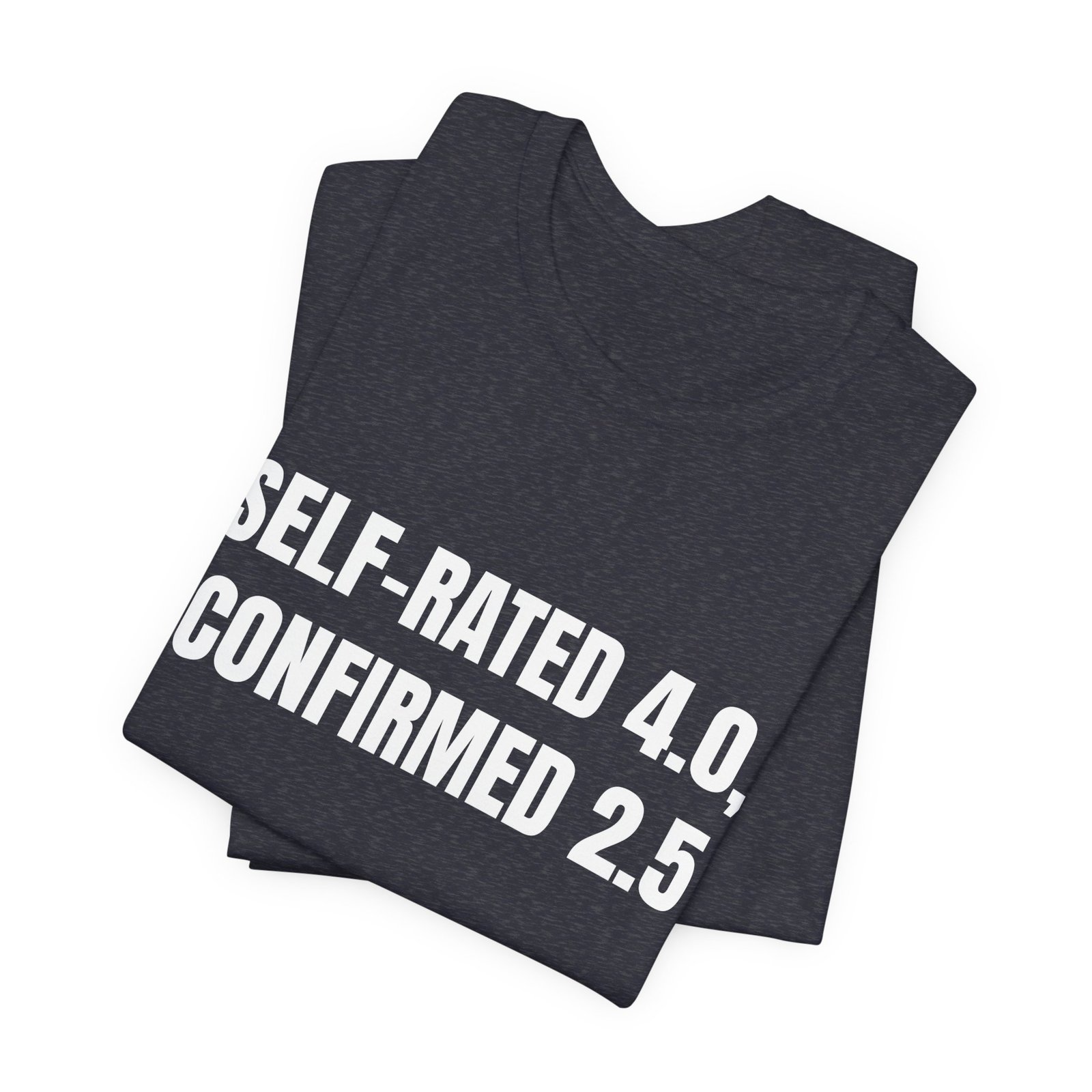 Self-Rated 4.0, Confirmed 2.5 Funny Graphic T-Shirt - Image 15